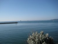 KingRichardIIIandFootball016