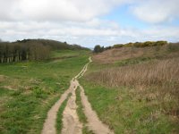 KingRichardIIIandFootball050  A lovely walk area.