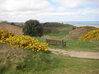 KingRichardIIIandFootball051