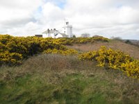 KingRichardIIIandFootball052