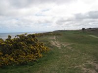 KingRichardIIIandFootball053