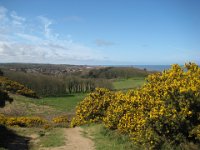 KingRichardIIIandFootball054